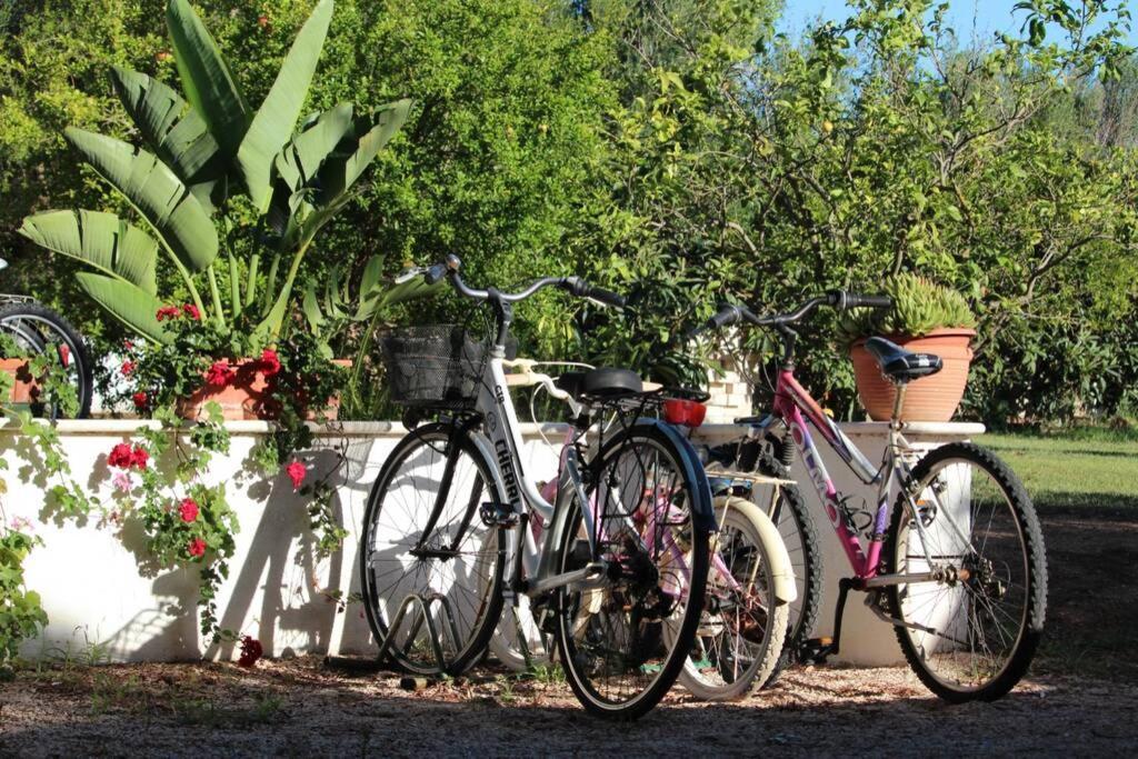 Villa Di Campagna Vicino Al Mare Orosei Buitenkant foto