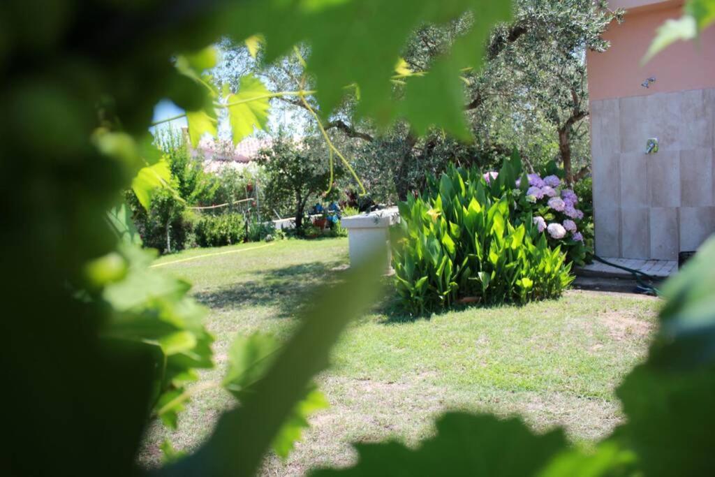 Villa Di Campagna Vicino Al Mare Orosei Buitenkant foto